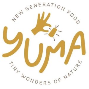 Yuma crackers apéro bio