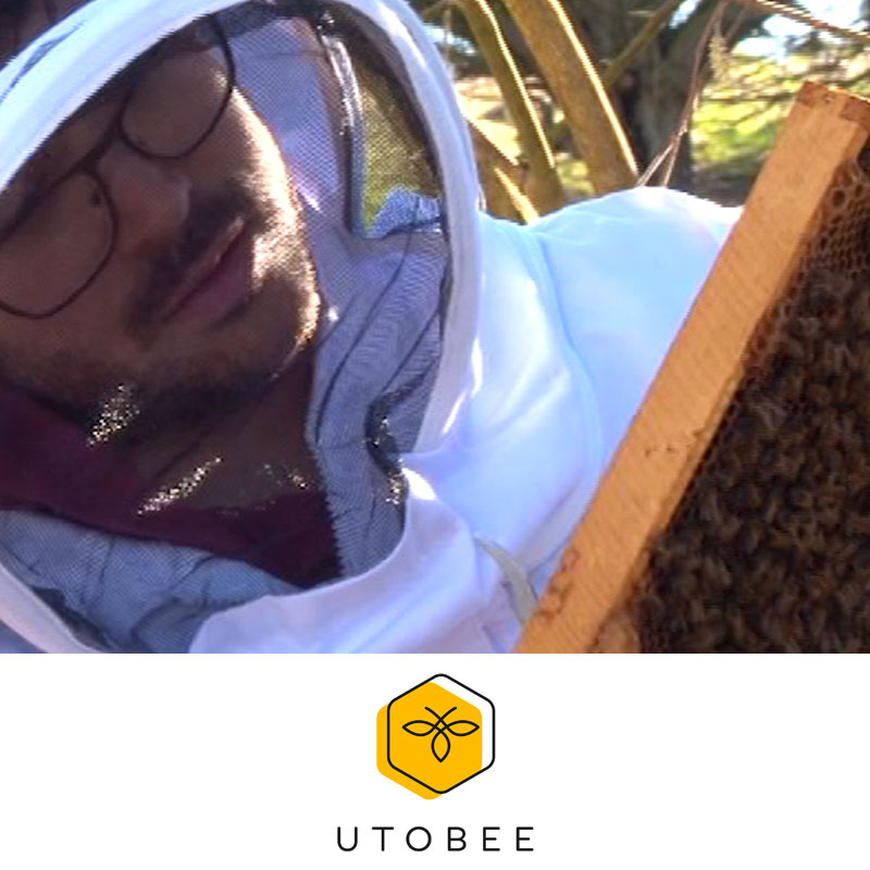 B-Artisan - Arno Vandermeulen - Utobee