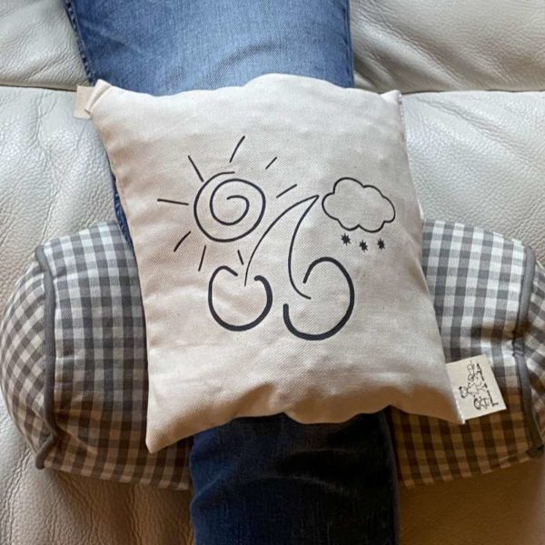 Coussin noyaux de cerises