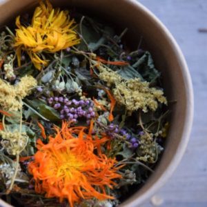 Tisane Drainante Purifiante Articulation