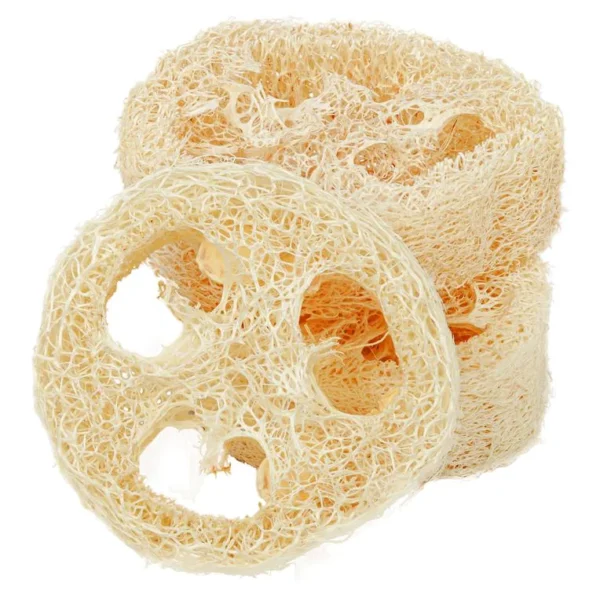 Tranche De Luffa (1.5-2 Cm) - Croll & Denecke